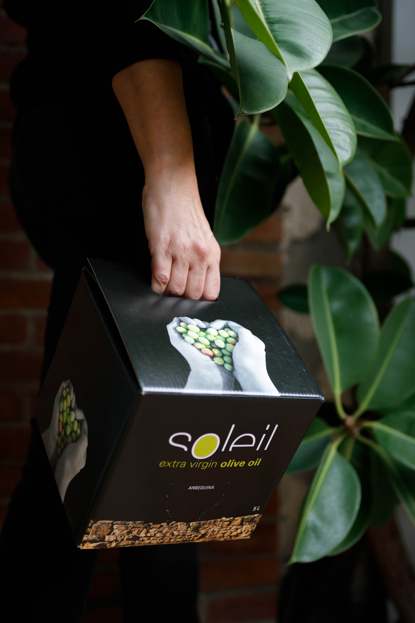 Gourmet Extra Virgin Olive Oil. Bag in Box 5 liters.